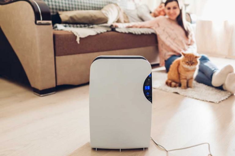 Best-air-purifier-for-home-with-pets
